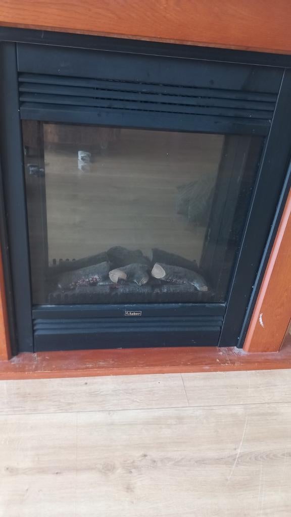 Weg is weg. Paar tientjes. Elektrische faber openhaard, Ophalen, Vrijstaande haard, Elektrische haard