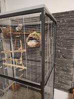 Zwerg Papageien, Dieren en Toebehoren, Vogels | Hokken en Kooien, Ophalen of Verzenden, Vogelkooi