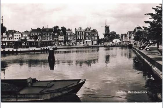 Leiden Turfmarkt met gezicht op de molen de Valk, Verzamelen, Foto's en Prenten, Ophalen of Verzenden, Voor 1940, Zo goed als nieuw