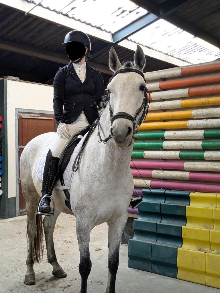 Bijrijder aangeboden, verzorg/bijrijd pony of paard gezocht, Dieren en Toebehoren, Ophalen of Verzenden, Nieuw