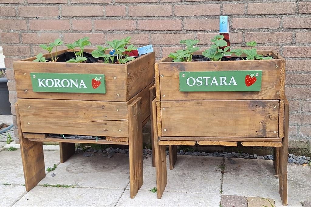 Houten kweekbak voor moestuin op poten, bijv. aardbeien, Tuin en Terras, Bloembakken en Plantenbakken, Ophalen, Minder dan 60 cm