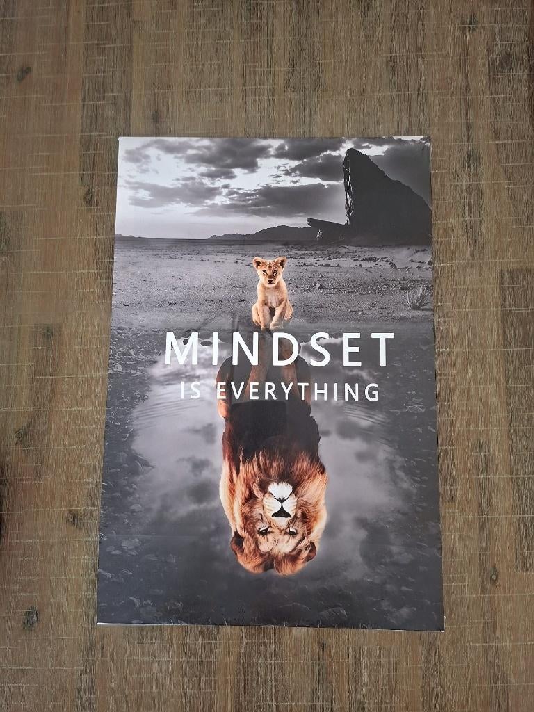 Canvasdoek  60cmx40cm, Minder dan 50 cm, 50 tot 75 cm, Verzenden, Nieuw
