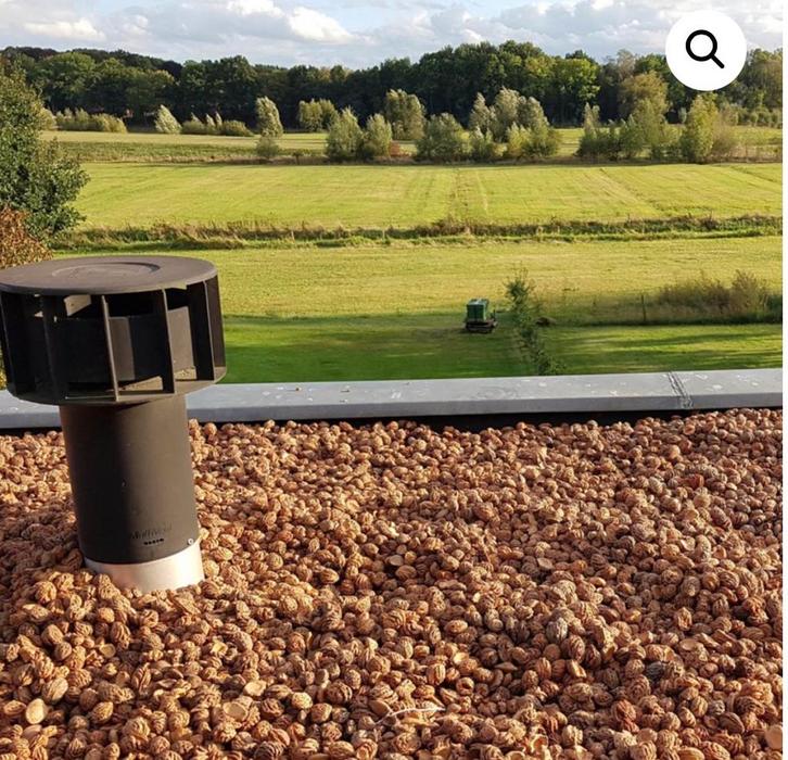 Hele perzikpitten voor tuin of dak, Tuin en Terras, Grind, Keien en Split, Zo goed als nieuw, Ophalen