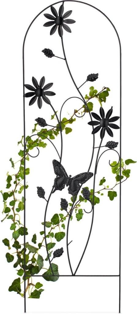 Plantenklimrek, Ophalen of Verzenden, Bloeit niet, Overige soorten, Volle zon
