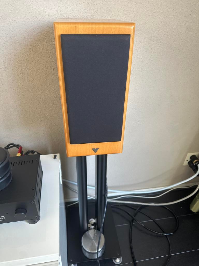 Vienna Acoustic Haydn Grand met Solidsteel stands, Audio, Tv en Foto, Luidsprekers, Zo goed als nieuw, 60 tot 120 watt, Front, Rear of Stereo speakers