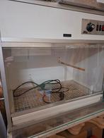 Ziekenkooi/ opfokkooi  van keulen, Ophalen, Zo goed als nieuw, Hout, Vogelkooi