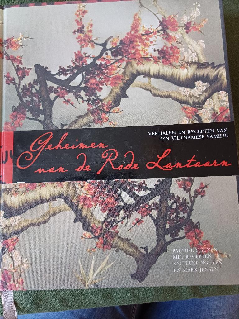 Geheimen van de Rode lantaarn, recepten vietnamese familie., Ophalen, Gelezen, Nguyen., Azië en Oosters