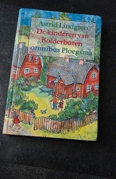 Boek De kinderen van Bolderburen, Boeken, Ophalen of Verzenden, Zo goed als nieuw, Fictie algemeen