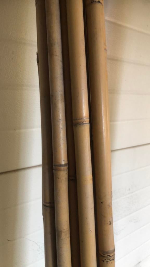 Lange bamboe stokken voor de moestuin, Hobby en Vrije tijd, Overige Hobby en Vrije tijd, Ophalen of Verzenden, Gebruikt