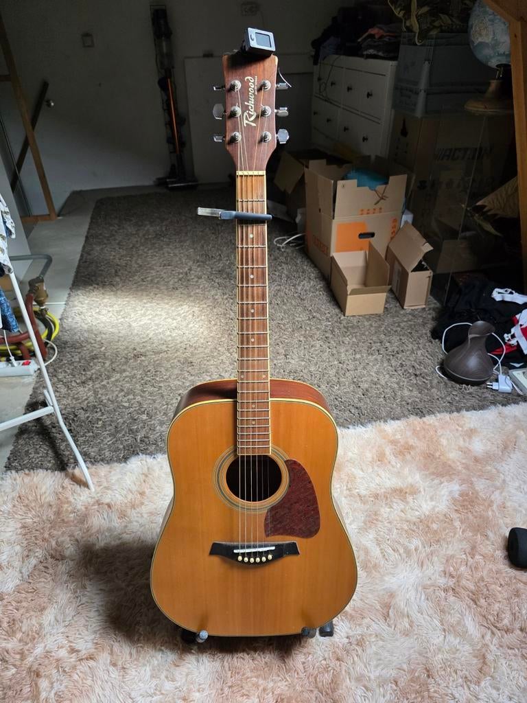 Richwood Westerngitaar met toebehoren, Ophalen, Gebruikt, Western- of Steelstringgitaar