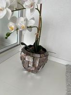 Schelpenvaas met kunst orchideen, Ophalen of Verzenden, Halfschaduw, Minder dan 100 cm
