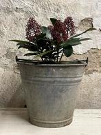 Brocante oud zinken emmer ( midden maatje ), Antiek en Kunst, Verzenden