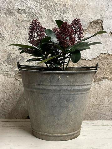 Brocante oud zinken emmer ( midden maatje ) beschikbaar voor biedingen