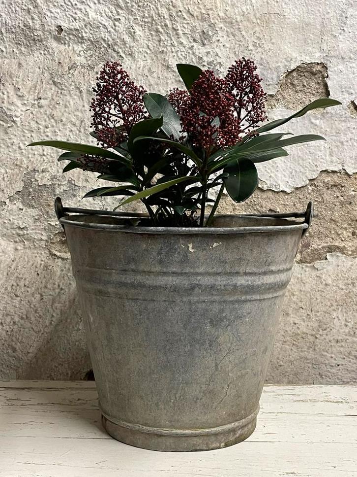 Brocante oud zinken emmer ( midden maatje ), Antiek en Kunst, Curiosa en Brocante, Verzenden