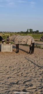 Rug b vliegendeken, Dieren en Toebehoren, Paarden en Pony's | Dekens en Dekjes, Ophalen of Verzenden