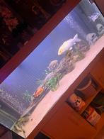 karpers, Ophalen of Verzenden, Zo goed als nieuw