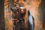 Verzorgpony's zoeken nog een verzorg-bff erbij, Dieren en Toebehoren, Paarden en Pony's | Overige Paardenspullen, Ophalen, Nieuw
