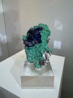 Azuriet op Malachiet - Milpillas, Mexico, Ophalen of Verzenden, Mineraal