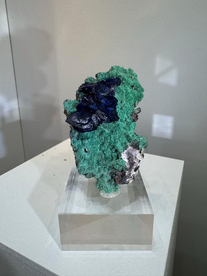 Azuriet op Malachiet - Milpillas, Mexico, Verzamelen, Mineralen en Fossielen, Mineraal, Ophalen of Verzenden