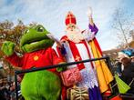 Landgoed van sinterklaas duinrell, Tickets en Kaartjes, Eén persoon, Ticket of Toegangskaart