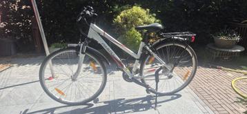 Giant fiets 145-160 cm beschikbaar voor biedingen