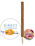 kokos plantenstok mosstok uitbreidbaar 60 cm NIEUW, Ophalen of Verzenden, Nieuw, Overige typen