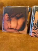 Bloodhound Gang - Hefty Fine LP - Nieuw!, Ophalen of Verzenden, 2000 tot heden, Nieuw in verpakking, 12 inch
