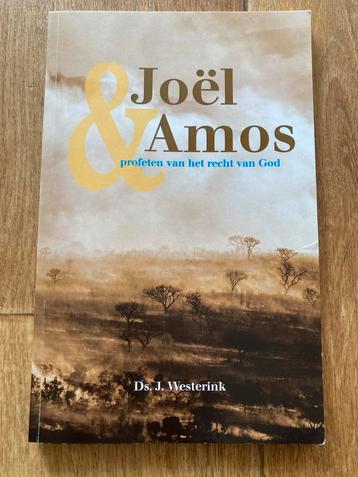 Joël & Amos - Profeten van het recht van God beschikbaar voor biedingen