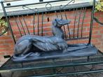 groot hond liggende windhond hazewindhond whippet galgo grey, Ophalen, Nieuw, Kunststof