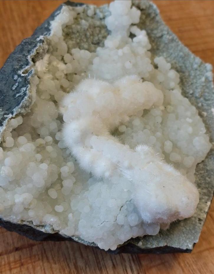 Okeniet met Gyroliet op witte Chalcedoon,  zeer speciaal, Verzamelen, Mineralen en Fossielen, Ophalen of Verzenden