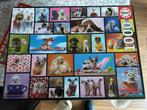 Educa puzzel huisdieren, Ophalen of Verzenden, 500 t/m 1500 stukjes, Zo goed als nieuw, Legpuzzel