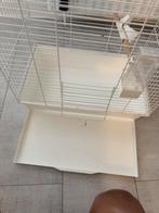 Vogelkooi 50€, Dieren en Toebehoren, Vogels | Hokken en Kooien, Ophalen of Verzenden