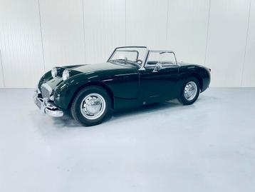 Austin Healey Sprite (kikkeroog) gerestaureerd ! beschikbaar voor biedingen
