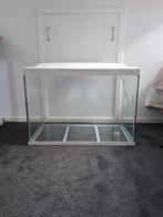 Aquarium superfish 100, Huis en Inrichting, Kasten | Vitrinekasten, Ophalen, Strak, Met klep(pen), 50 tot 100 cm