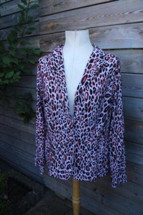 Jasje roze/ zwart/ rood Jane Lushka mt XL Travel vaste, Kleding | Dames, Jasjes, Kostuums en Pakken, Zo goed als nieuw, Jasje