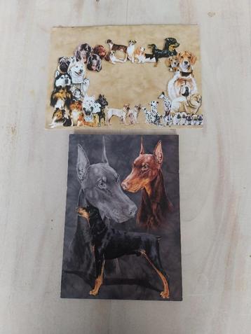 Mooie ansicht kaart met envelop 3 Dobermanns NIEUW beschikbaar voor biedingen
