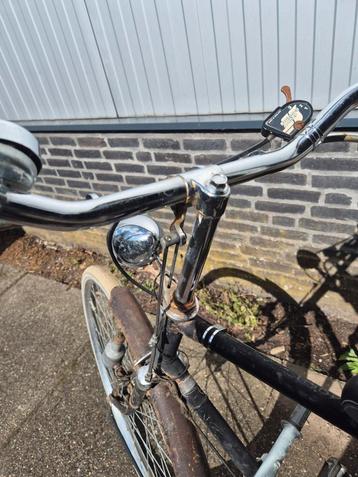 Klassieke gazelle  beschikbaar voor biedingen