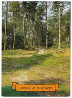 Heeswijk Wildhorst  Gelopen Ansichtkaart ( B6019), Ophalen of Verzenden, Gelopen