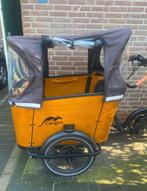 Cangoo Buckle Elektrische Bakfiets - 2023, Fietsen en Brommers, Fietsen | Bakfietsen, 3 kinderen, Elektrisch, Zo goed als nieuw