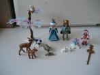 playmobil schaatsen prins prinsessen en dieren winter, Ophalen of Verzenden, Zo goed als nieuw