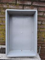 baden voor duiven, Meerdere dieren, Postduif