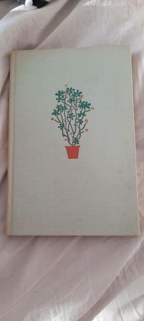 G Kromdijk - Onze kamerplanten, Boeken, Wonen en Tuinieren, Zo goed als nieuw, Kamerplanten, Ophalen of Verzenden