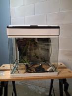 Super fish aquarium wit. Hoog 32 breed 32 diep 24 cm., Ophalen, Zo goed als nieuw, Leeg aquarium