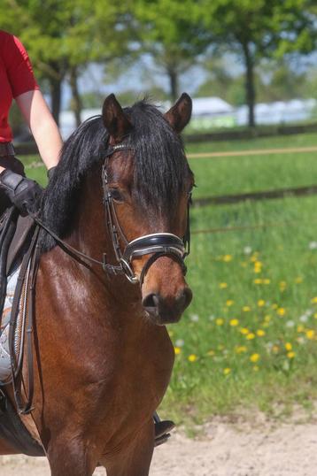 Een echte eyecatcher ️ beschikbaar voor biedingen