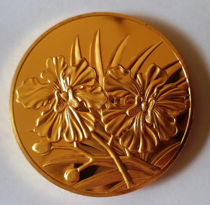 1990 Limited Edition 25 jaar Singapore penning 69 gram brons, Postzegels en Munten, Penningen en Medailles, Brons, Buitenland