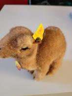 steiff dieren, Antiek en Kunst, Ophalen of Verzenden