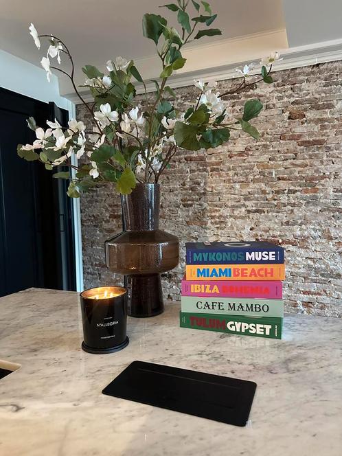 Decoratie boeken Assouline Ibiza, Miami, Tulum, Mykonos, Huis en Inrichting, Woonaccessoires | Wanddecoraties, Nieuw, Ophalen of Verzenden