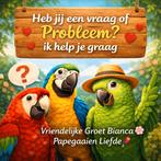 Facebook Groep; papegaaien Liefde, Dieren en Toebehoren, Vogels | Parkieten en Papegaaien