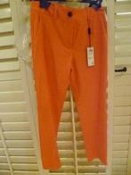Marccain lange broek mt N3 NIEUW, Kleding | Dames, Broeken en Pantalons, Maat 38/40 (M), Nieuw, Ophalen of Verzenden, Lang