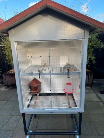 Tortelduif/vogelhok beschikbaar voor biedingen